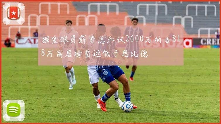 掘金球员薪资总和仅2600万纳吉818万高居榜首远低于恩比德