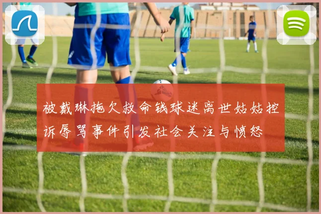 被戴琳拖欠救命钱球迷离世姑姑控诉辱骂事件引发社会关注与愤怒