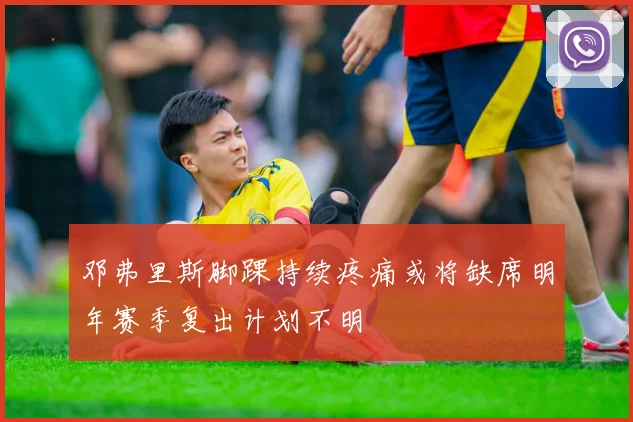 邓弗里斯脚踝持续疼痛或将缺席明年赛季复出计划不明