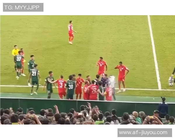 比甲比赛因球迷投掷水杯击中主裁在第87分钟意外中止引发热议